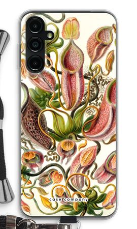 Haeckel Nepenthaceae