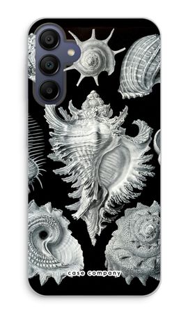 Haeckel Prosobranchia