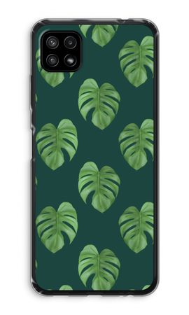 Monstera leaves