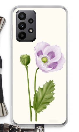 Purple poppy