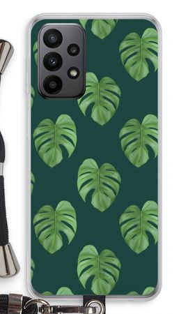 Monstera leaves