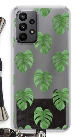 Monstera leaves