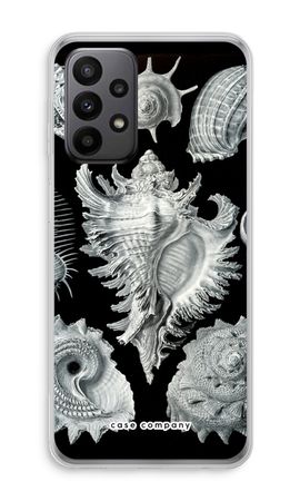 Haeckel Prosobranchia