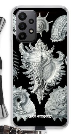 Haeckel Prosobranchia