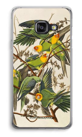 Carolina Parrot