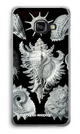 Haeckel Prosobranchia