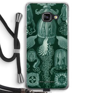 Haeckel Cubomedusae