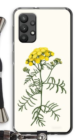 Tansy