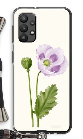 Purple poppy