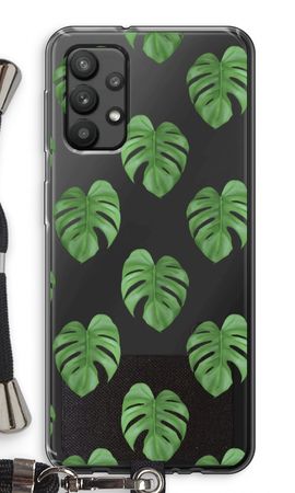 Monstera leaves
