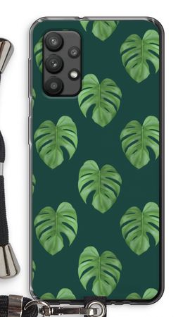 Monstera leaves