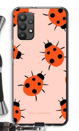 Ladybugs