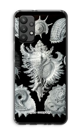 Haeckel Prosobranchia
