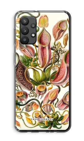 Haeckel Nepenthaceae