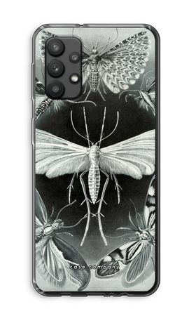 Haeckel Tineida