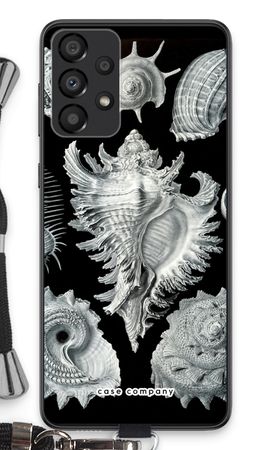 Haeckel Prosobranchia