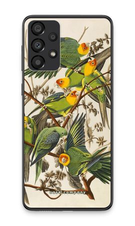 Carolina Parrot
