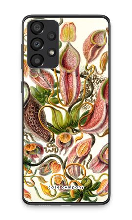 Haeckel Nepenthaceae