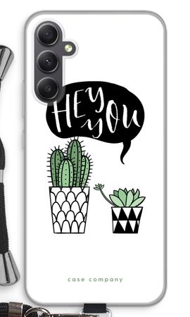 Hey you cactus