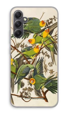 Carolina Parrot