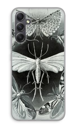 Haeckel Tineida