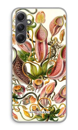 Haeckel Nepenthaceae