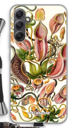 Haeckel Nepenthaceae