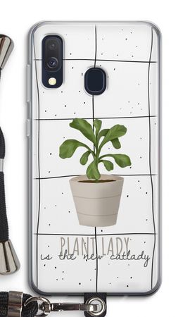 Houseplant on windowpane