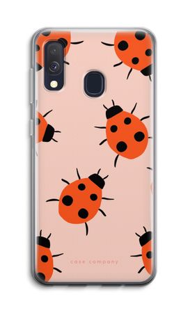 Ladybugs