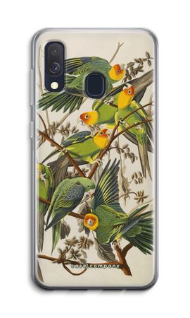 Carolina Parrot