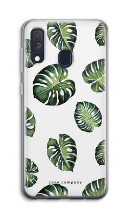 Tropical leaves