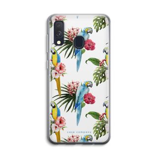 Kleurrijke papegaaien