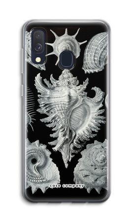 Haeckel Prosobranchia