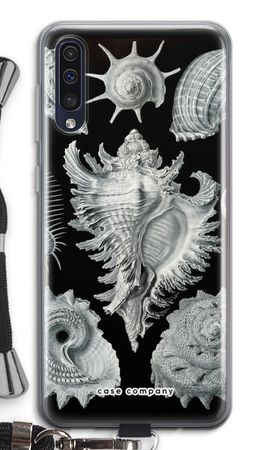 Haeckel Prosobranchia