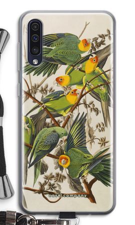 Carolina Parrot