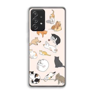 Cats