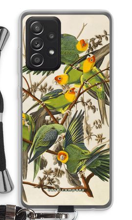 Carolina Parrot