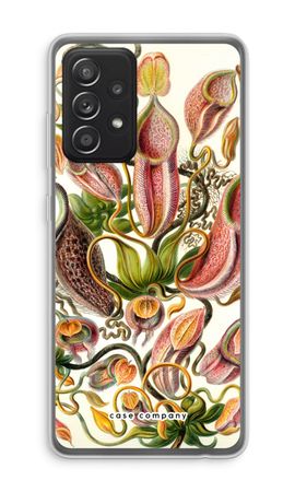 Haeckel Nepenthaceae