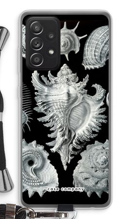 Haeckel Prosobranchia