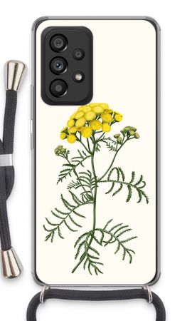 Tansy
