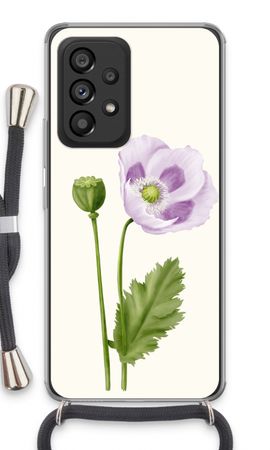 Purple poppy