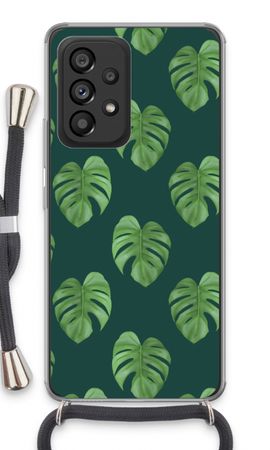 Monstera leaves