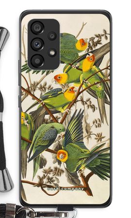 Carolina Parrot