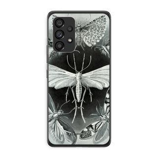 Haeckel Tineida