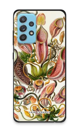 Haeckel Nepenthaceae