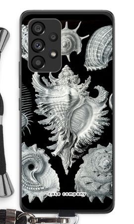 Haeckel Prosobranchia