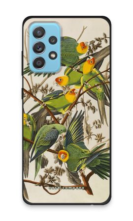 Carolina Parrot