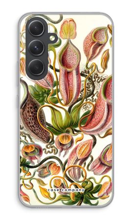 Haeckel Nepenthaceae