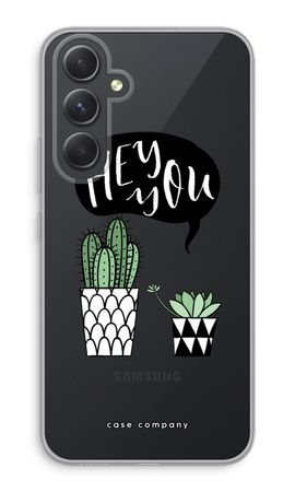 Hey you cactus
