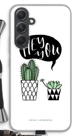 Hey you cactus